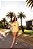 Conjunto Ayla Amarelo - Imagem 2