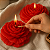 Kit 5 Rosa Peônia 100g Aromática Aroma 1 - Imagem 3