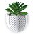 CACHEPOT HELIX - Imagem 3