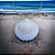 Colar aro maxi concha shell - Imagem 1