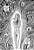 Solitude - Imagem 5