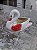 Cisne floreira - Imagem 2