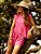 SHORT MARIA FILO BARRA MAGENTA - Imagem 9