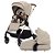 Carrinho Silver Cross Dune com Moisés Stone - Imagem 1