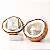 Creme Desodorante Orgânico Coconut Litthe Seed Farm - Imagem 2