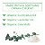 Hyland's Naturals Baby Organic Chest Rub - Acalma e conforta, com óleo orgânico de lavanda, hortelã-pimenta e flor de camomila, seguro e suave, - Imagem 3