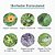 Earth Mama Diaper Balm Pomada - Imagem 4