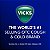 Vicks VapoSteam com Cânfora, para Umidicadores e Vaporizadores 236ml - Imagem 8