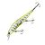 Isca Lori Brutal (Brutinha) 95 - 9,5cm - 12g - Imagem 6