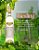 Vinho Riesling Castellamare - 750 mL - Imagem 1