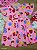 Vestido Happy Quimby - Imagem 1