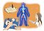 Humanoterapia (8 sessões) - Imagem 1