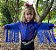 Body Camisa Infantil Azul All Pink Texas Ranch - Imagem 4