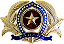 DISTINTIVO DE BOINA - OFICIAL POLÍCIA MILITAR PR - Imagem 1