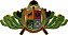 DISTINTIVO DE CURSO - OPERAÇ. DE BUSCA E RESGATE - Imagem 1