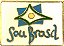 BOTTON - BANDEIRA SOU BRASIL - Imagem 1