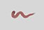 Creamy Colour Comfort Lip Liner - Cor 23 | Kiko Milano - Imagem 2