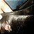 Tecimento - Imagem 1