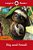 Bbc Earth: Big And Small - Ladybird Readers - Level 2 - Book With Downloadable Audio (US/UK) - Imagem 1