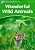 Wonderful Wild Animals - Dolphin Readers - Level 3 - Imagem 1