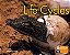Life Cycles - Pyp - Level 6 - Imagem 1