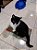 Arranhador Para Gato de Papelão Prático e Moderno Reforçado Grande + Catnip Erva de Gato - Imagem 3