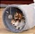 Túnel Treinamento Coelho Gatos Interativo Cachorro Labirinto Dobrável Pet Playground Toca Pelucia - Imagem 2