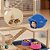 KIT ROEDOR – TOCA IGLU + RODINHA 14CM + 2 COMEDOUROS | Ideal para Hamster e Outros Roedores - Imagem 4