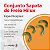 Conj. De Sap. De Freio Comp. Por 4 Pecas (2 Esquerda, 2 Direita) Para Veic. Hilux 93 Hilux Turbo 04 - Ref.:S ( Sf08002 ) - Imagem 10