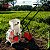 Adubadeira Plantadeira Manual 3kg Portátil Reservatório Único Ideal Para Horta Jardim E Agricultura - Imagem 10
