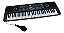 Teclado Musical 61 Teclas Importway Com Microfone Ideal Para Iniciantes Crianças E Adultos - Imagem 1