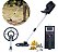 Detector De Metal Manual Profissional Com Bobina Impermeável E Ajuste De Sensibilidade Importway - Imagem 1