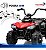 Mini Carro Elétrico Infantil Utv 6v Vermelho Com Luz Som Frente E Ré Bateria Recarregável Certificado Inmetro - Imagem 9