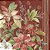 Guardanapo - POINSETTIA BOUQUET - Imagem 1
