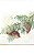 Guardanapo - DECORATIVE BRANCHES - Imagem 1