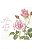 Guardanapo - A ROSE FOR YOU - Imagem 1