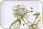 Bandeja Flower Bike - Importada da Alemanha - Imagem 1