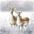 Guardanapo Unitario - MAGIC WINTER DEERS - Imagem 1