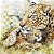 Guardanapo Unitario - Leopard Family - Imagem 1