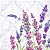 Guardanapo Unitario para Decoupage - LAVANDA - Imagem 1