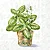 Guardanapo Unitario para Decoupage - AROMATIC HERBS - Imagem 1