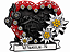 Ímã com Edelweiss - Importado da Alemanha - Imagem 1