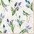 PRÉ VENDA - Guardanpo SPRING MUSCARI - Imagem 1