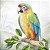 PRÉ VENDA - Guardanapo EXOTIC PARROT - Imagem 1