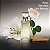 Calvin Klein Eternity Eau de Parfum Perfume Feminino 30ml - Imagem 2