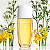 Perfume Feminino Elizabeth Arden Sunflowers HoneyDaze Eau de Toilette 100ml - Imagem 2