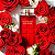Elizabeth Arden Red Door Eau de Toilette Perfume Feminino 100ml - Imagem 2