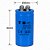 CAPACITOR MOTOR STAR 250UF 220/250 V-CD 60-50X100 TK - Imagem 1