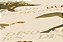 Papel de Parede Infantil Boys And Girls 6 93633-1 Dinossauros - Rolo de 10mx53cm - Imagem 3
