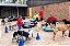 Creche Pet - AGENDE AGORA - cuidando com amor - Imagem 1